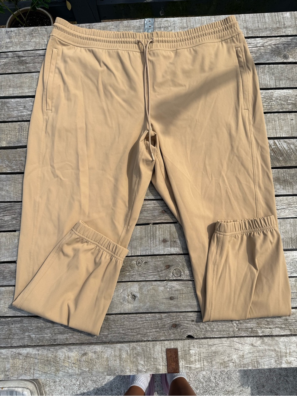 TnAction Aritizia TNA Joggers